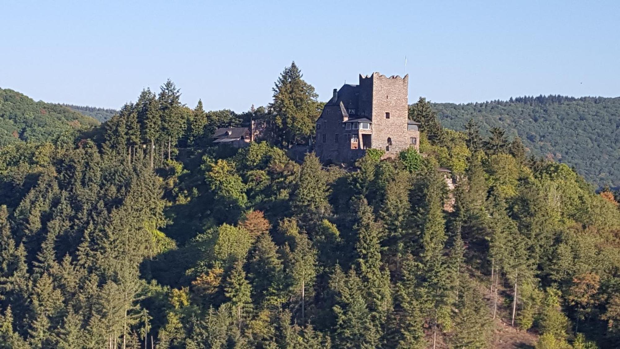 Ferienwohnung Sternenwald Альф Экстерьер фото